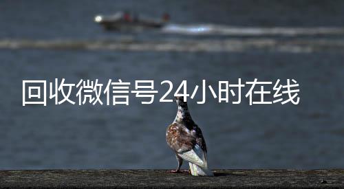 回收微信号24小个人回收vx秒结时在线秒结（回收微信号平台官网）